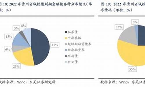 贵州地方债的投资价值评估(贵州债券2021)